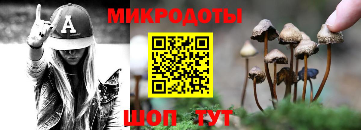 Галлюциногенные грибы Cubensis Омск